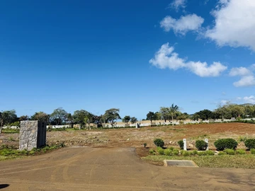 Terrain