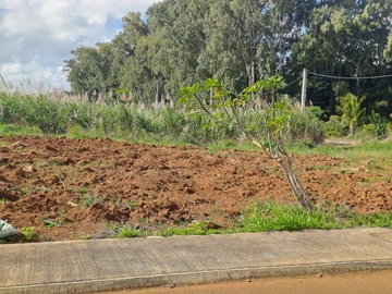 Commercial Land