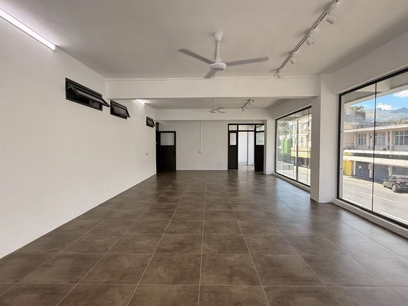 Immobilier Commerciaux
