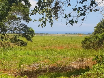 Residential Land