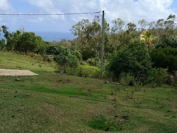 Commercial Land