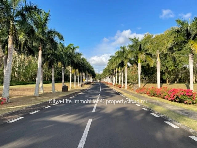 Land for sale in Royal Park