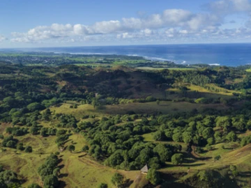 Residential Land