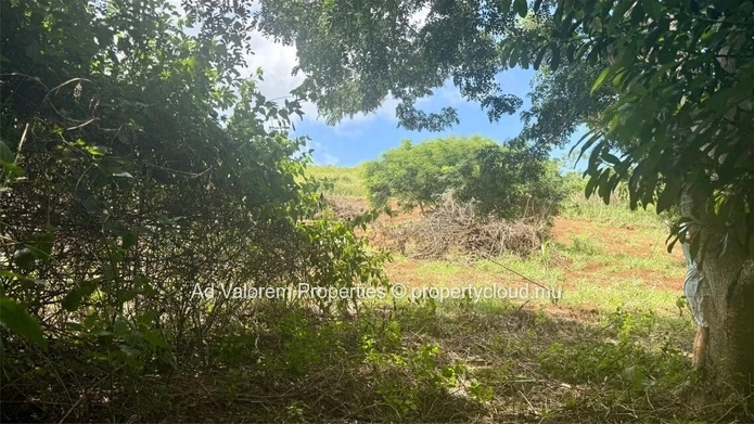 À Vendre – Terrain Agricole avec Vue Mer et Montagne à Baie du Cap!