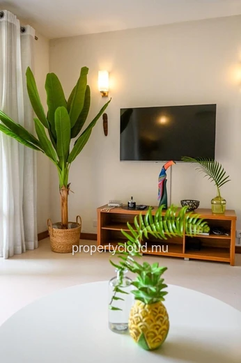 FOR RENT – Superb beachfront apartment in Grand Baie