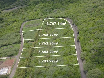 Terrain