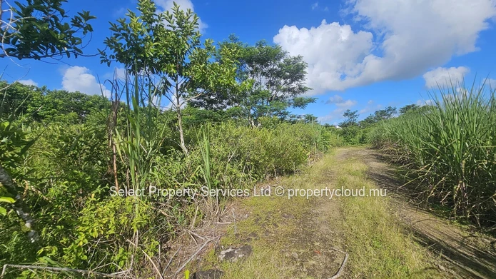 Agricultural Land for Sale - Morcellement - Montagne Blanche