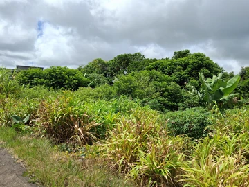 Residential Land