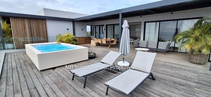 Penthouse for rent