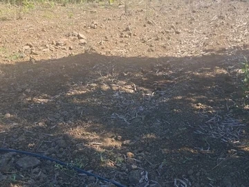 Residential Land
