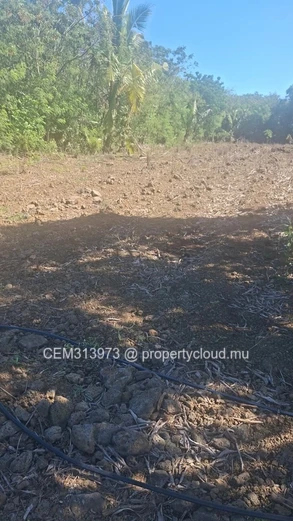 25 Perches Residential Land for Sale – Cap Malheureux