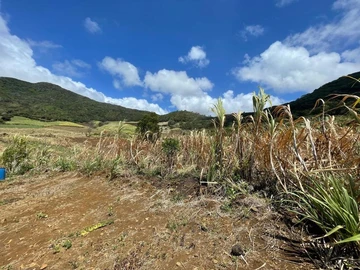 Agricultural Land