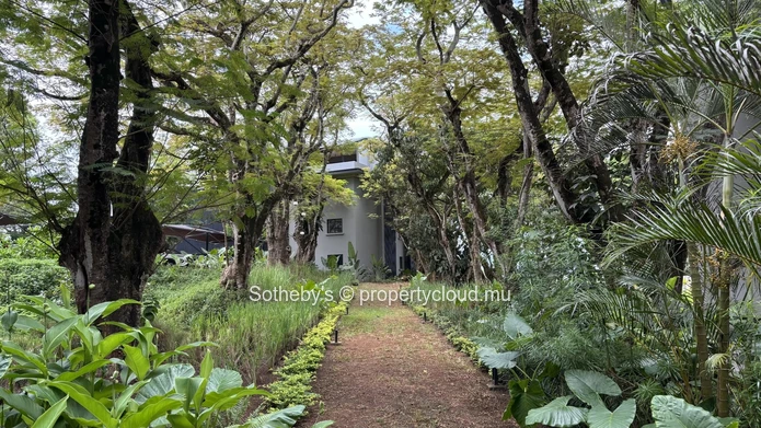 Woodland Apartment