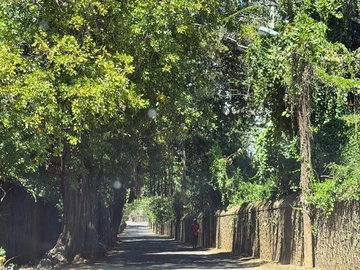Residential Land