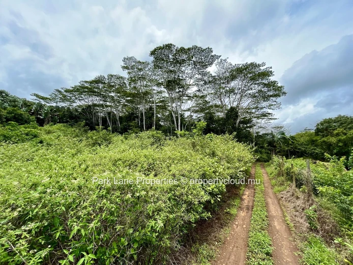 Chamarel - Paix, espace et beauté naturelle tout autour