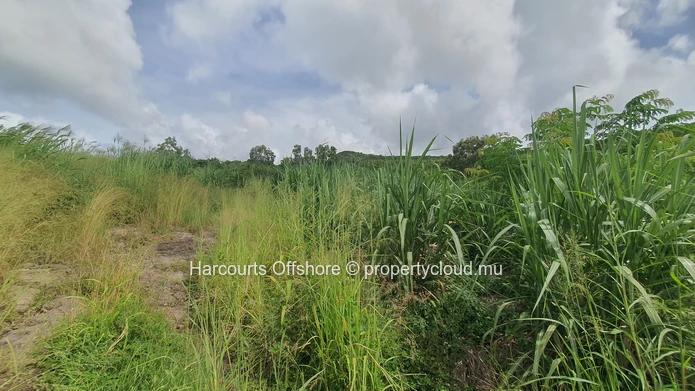 Expansive 5856 m² Agricultural Land for Sale in Verdun, Mauritius