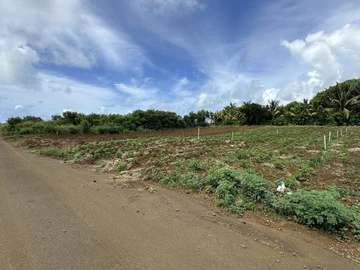 Agricultural Land