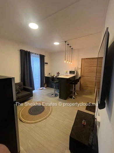 Fully Furnished 2-Bedroom Apartment For Rent – Flic En Flac