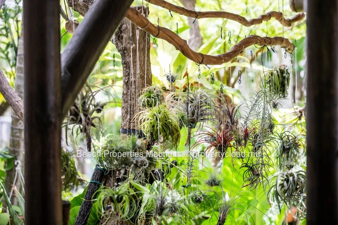 Tropical Family Home in Tamarin