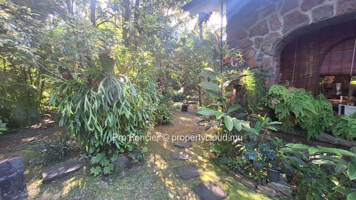 Apartment for rent in Moka - River view