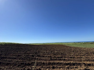 Agricultural Land