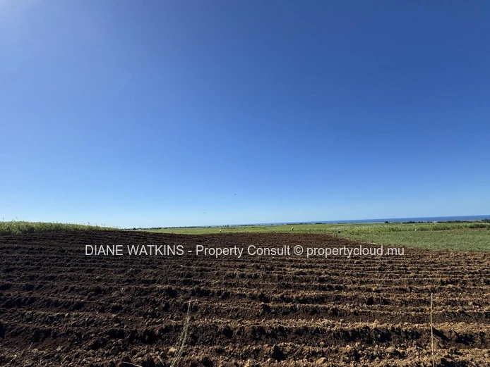 À vendre – Terrain Agricole avec Vue Sur la Mer à Gros Bois