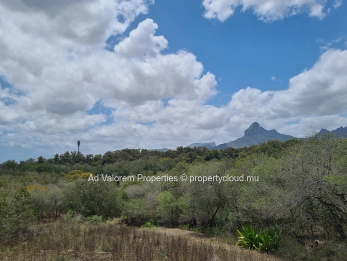 Terrain résidentiel en vente à Tamarin