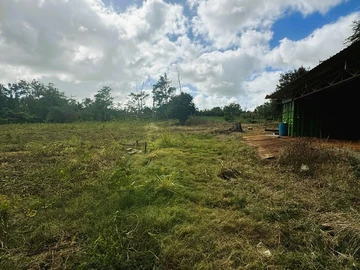 Terrain Commercial