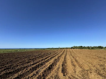 Agricultural Land