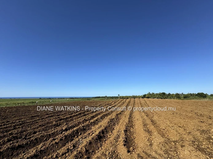 À vendre – Terrain Agricole avec Vue Sur la Mer à Gros Bois