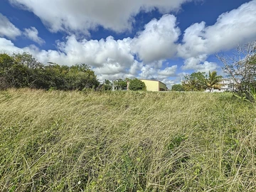 Land