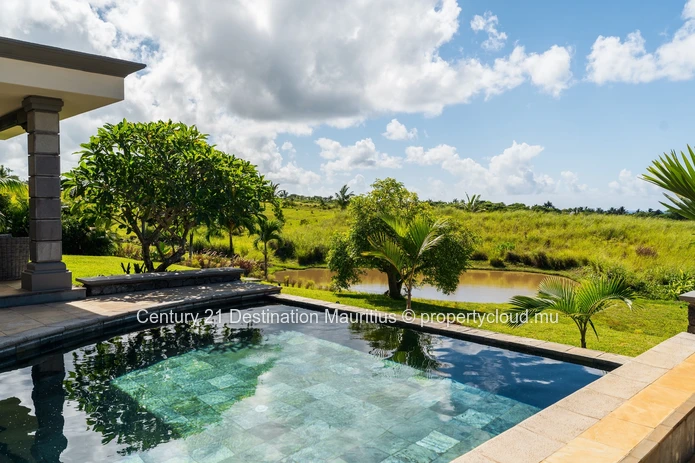 Extraordinary in an Exceptional Estate
