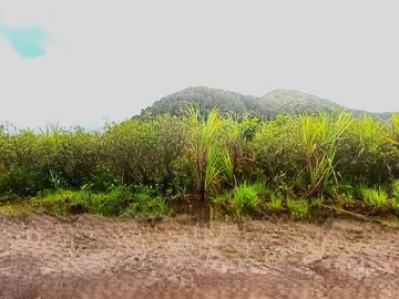 Agricultural Land