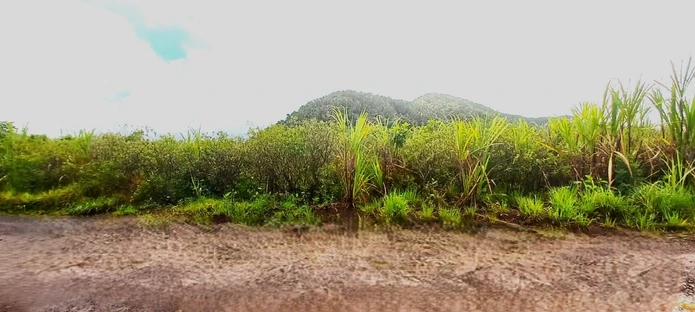 Agricultural land for sale in St Hubert - Mountain View