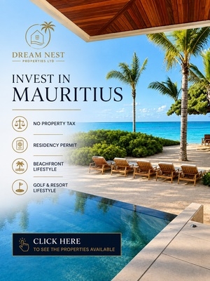Dream Nest