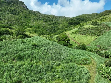 Agricultural Land
