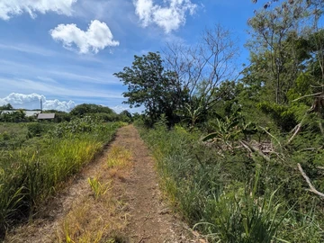Residential Land