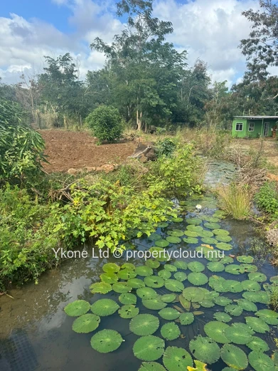 Commercial Land For Sale In Calebasses