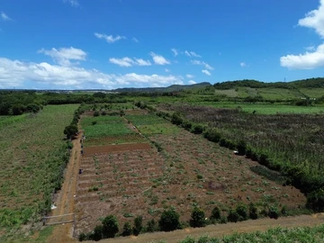Terrain Agricole