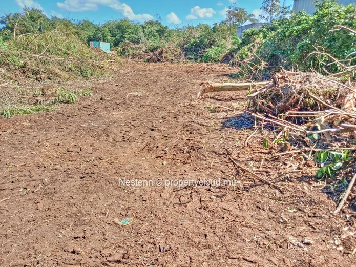 Rare Terrain De 2 935,8 M² À Pamplemousses