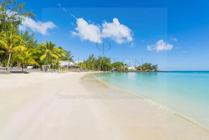 Elegant 2-bedroom apartment with top-of-the-line amenities in Calodyne