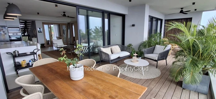 Penthouse for rent