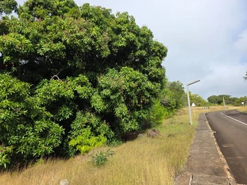 Residential Land