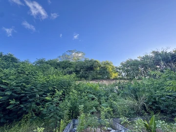 Agricultural Land