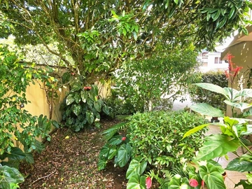 Villa de 3 Chambres
