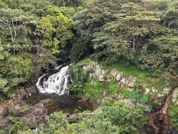 Terrain