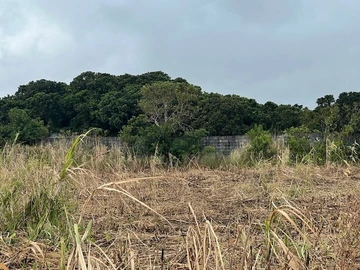 Terrain Agricole