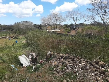 Land