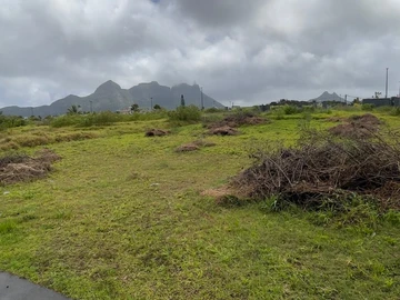 Terrain