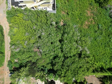 Commercial Land